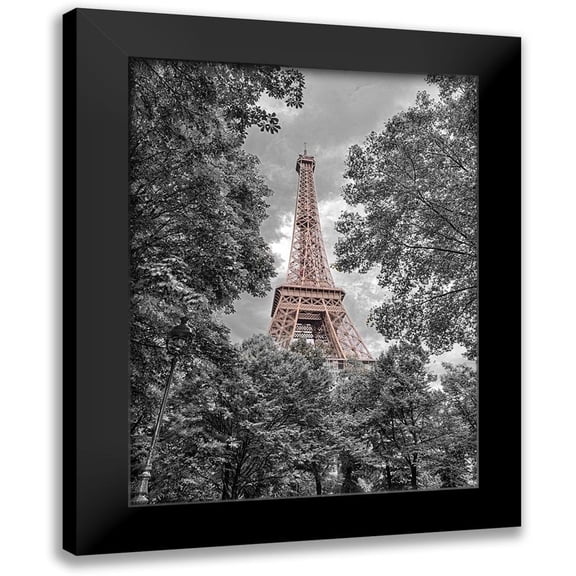 Frank, Assaf 12x14 Black Modern Framed Museum Art Print Titled - Eiffel Tower through trees