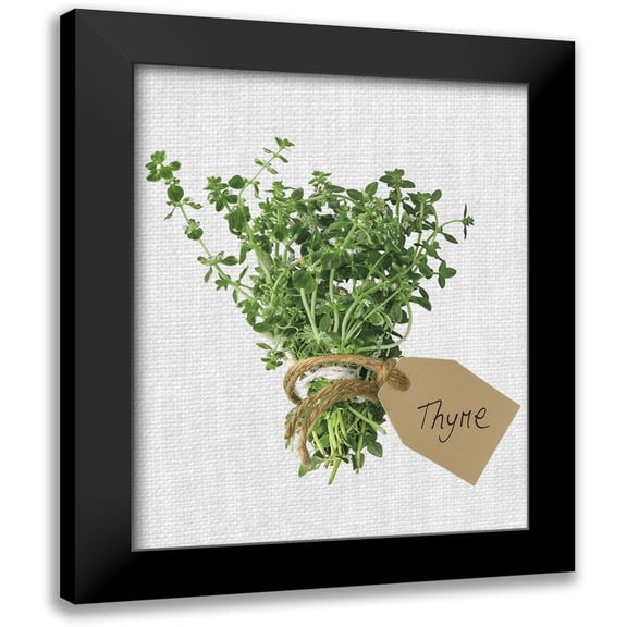 Frank, Assaf 12x14 Black Modern Framed Museum Art Print Titled - Thyme