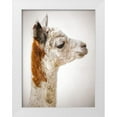 thumbnail image 1 of Frank, Assaf 12x14 White Modern Wood Framed Museum Art Print Titled - Close-up of Alpaca, 1 of 4
