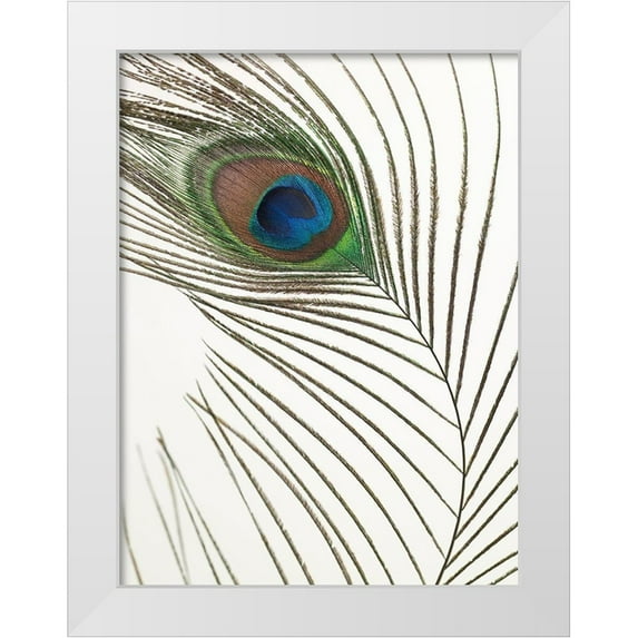 Frank, Assaf 12x14 White Modern Wood Framed Museum Art Print Titled - Peacock feather