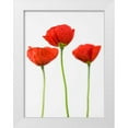 thumbnail image 1 of Frank, Assaf 12x14 White Modern Wood Framed Museum Art Print Titled - Three poppy flowers, 1 of 4