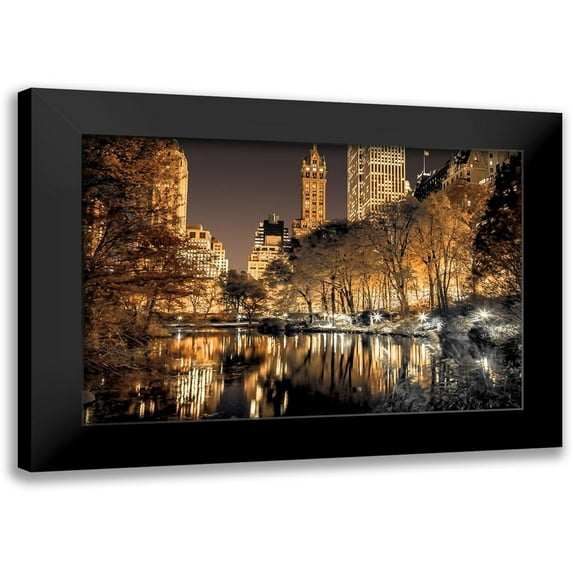 Frank, Assaf 14x11 Black Modern Framed Museum Art Print Titled - Central Park Glow