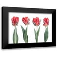 thumbnail image 1 of Frank, Assaf 14x11 Black Modern Framed Museum Art Print Titled - Rococo Tulips, 1 of 5