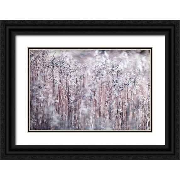 Frank, Assaf 14x11 Black Ornate Wood Framed with Double Matting Museum Art Print Titled - Cotton Tops