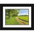 thumbnail image 1 of Frank, Assaf 14x11 Black Ornate Wood Framed with Double Matting Museum Art Print Titled - Greenest Pastures, 1 of 4