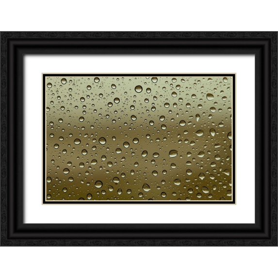 Frank, Assaf 14x11 Black Ornate Wood Framed with Double Matting Museum Art Print Titled - Water droplets on glass