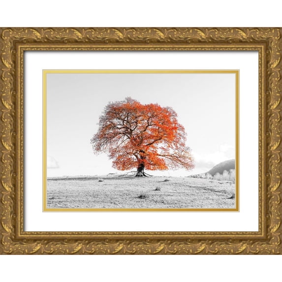 Frank, Assaf 14x11 Gold Ornate Wood Framed with Double Matting Museum Art Print Titled - Tree on a hill