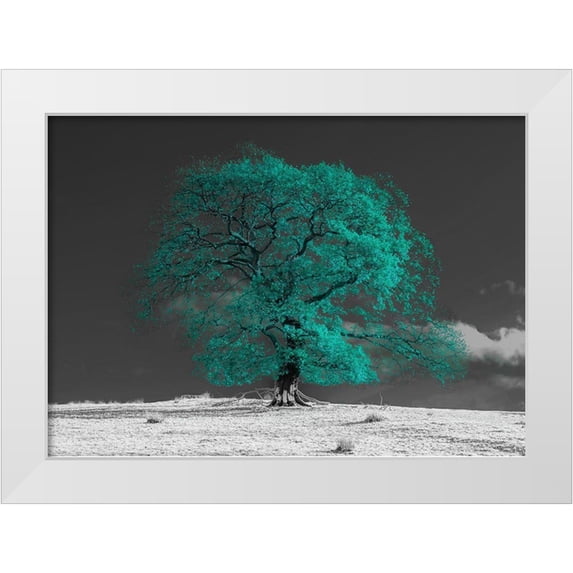 Frank, Assaf 14x11 White Modern Wood Framed Museum Art Print Titled - Tree on a hill-teal