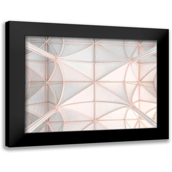 Frank, Assaf 14x12 Black Modern Framed Museum Art Print Titled - Architectural church ceiling