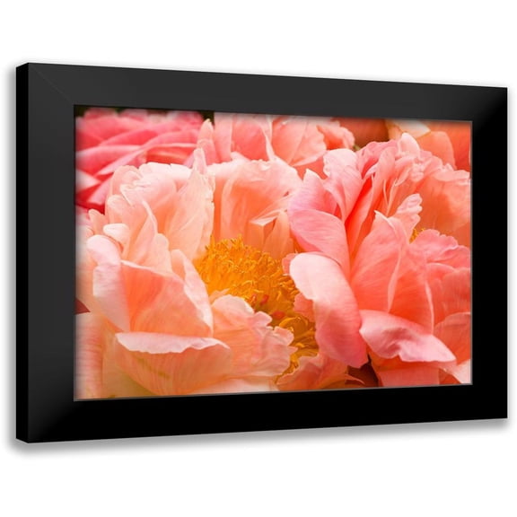 Frank, Assaf 14x12 Black Modern Framed Museum Art Print Titled - Chelsea flowers