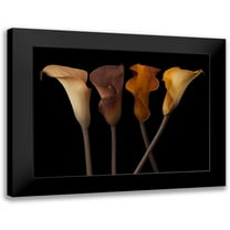 Frank, Assaf 14x12 Black Modern Framed Museum Art Print Titled - Four calla lilies