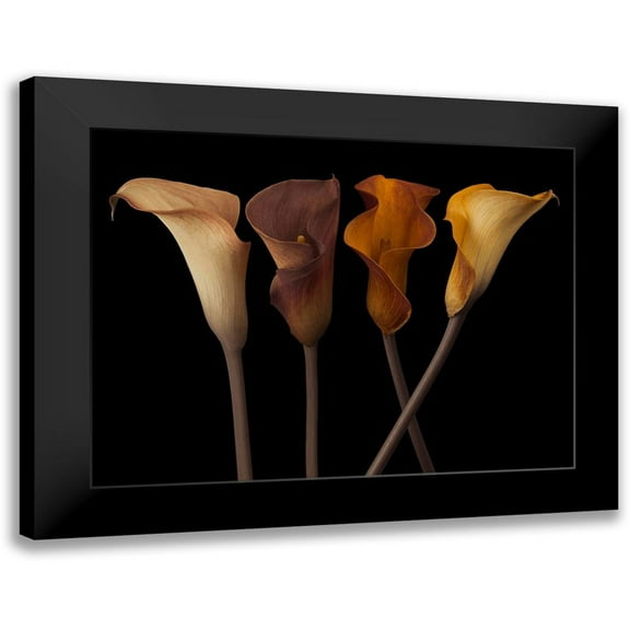 Frank, Assaf 14x12 Black Modern Framed Museum Art Print Titled - Four calla lilies