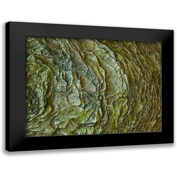 Frank, Assaf 14x12 Black Modern Framed Museum Art Print Titled - Frosty rock surface