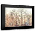 thumbnail image 1 of Frank, Assaf 14x12 Black Modern Framed Museum Art Print Titled - Grass Reeds, 1 of 5