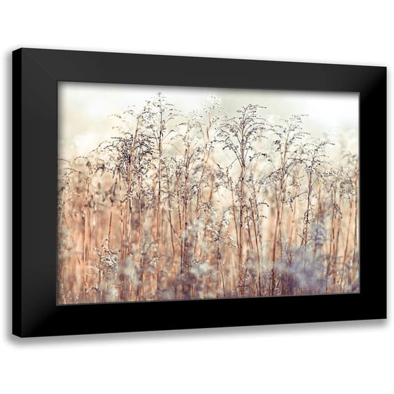 Frank, Assaf 14x12 Black Modern Framed Museum Art Print Titled - Grass Reeds