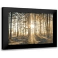 thumbnail image 1 of Frank, Assaf 14x12 Black Modern Framed Museum Art Print Titled - Misty forest with sunrays, 1 of 5