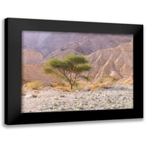 Frank, Assaf 14x12 Black Modern Framed Museum Art Print Titled - Negev Desert-Israel