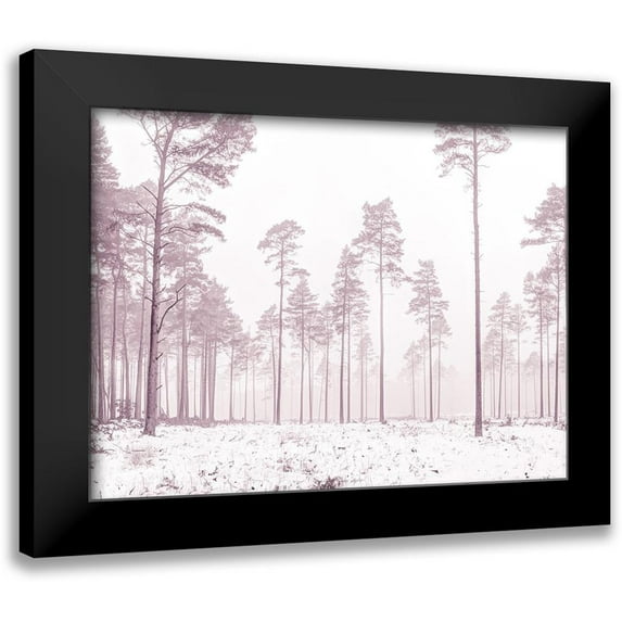 Frank, Assaf 14x12 Black Modern Framed Museum Art Print Titled - Snowy forest in winter