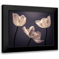 thumbnail image 1 of Frank, Assaf 14x12 Black Modern Framed Museum Art Print Titled - Three Tulips, FTBR-1824, 1 of 5