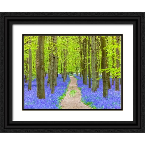 Frank, Assaf 14x12 Black Ornate Wood Framed with Double Matting Museum Art Print Titled - Bluebell path