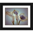 thumbnail image 1 of Frank, Assaf 14x12 Black Ornate Wood Framed with Double Matting Museum Art Print Titled - Close-up of three white Calla Lilies, Studio Shot, 1 of 4