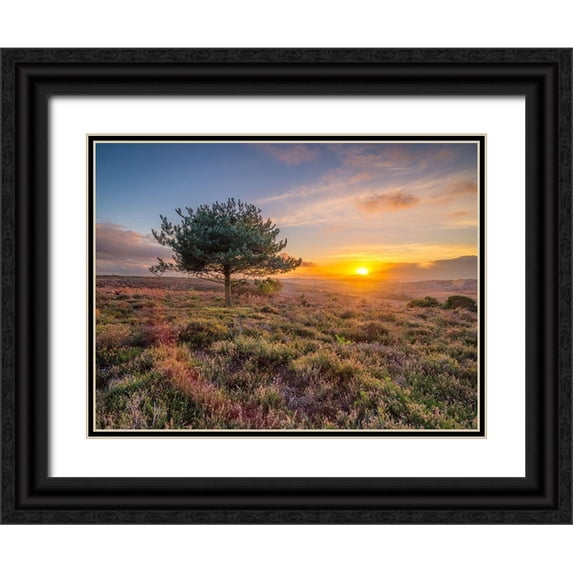Frank, Assaf 14x12 Black Ornate Wood Framed with Double Matting Museum Art Print Titled - Lone tree sunset-New Forest