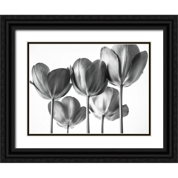 Frank, Assaf 14x12 Black Ornate Wood Framed with Double Matting Museum Art Print Titled - Red Tulips