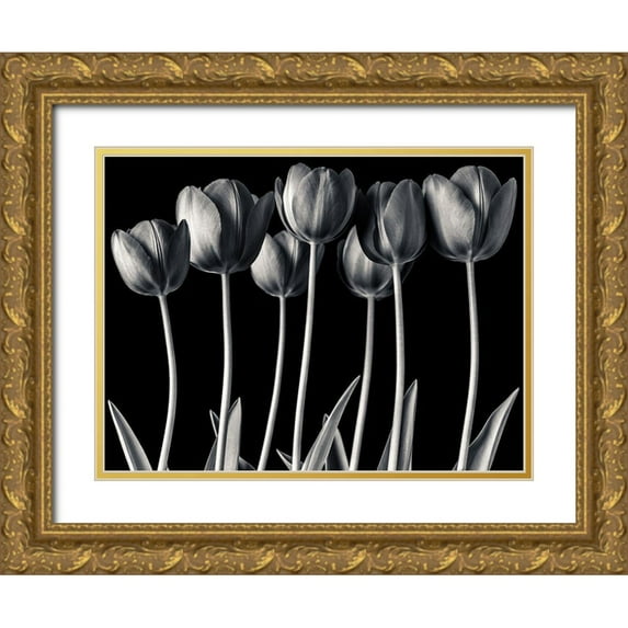 Frank, Assaf 14x12 Gold Ornate Wood Framed with Double Matting Museum Art Print Titled - Growing Tulips, FTBR-1817