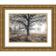 thumbnail image 1 of Frank, Assaf 14x12 Gold Ornate Wood Framed with Double Matting Museum Art Print Titled - Misty forest, 1 of 4