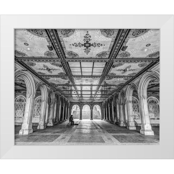 Frank, Assaf 14x12 White Modern Wood Framed Museum Art Print Titled - Bethesda Terrace in Central park, New York