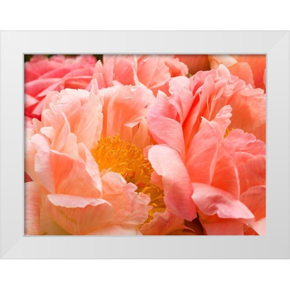 Frank, Assaf 14x12 White Modern Wood Framed Museum Art Print Titled - Chelsea flowers