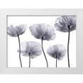 thumbnail image 1 of Frank, Assaf 14x12 White Modern Wood Framed Museum Art Print Titled - Five Poppies, 1 of 4