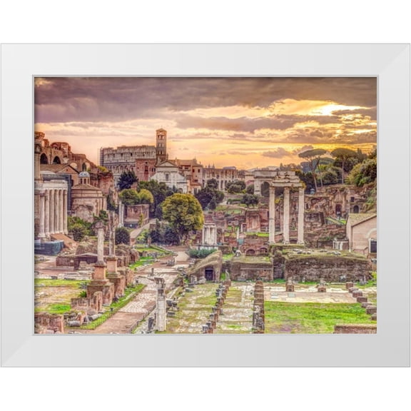 Frank, Assaf 14x12 White Modern Wood Framed Museum Art Print Titled - Ruins of the Roman Forum, Rome, Italy