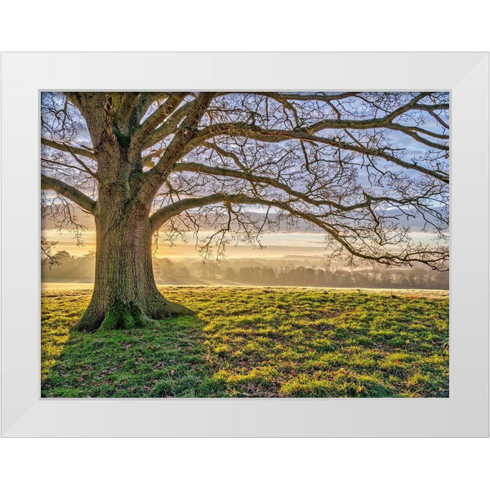Frank, Assaf 14x12 White Modern Wood Framed Museum Art Print Titled ...