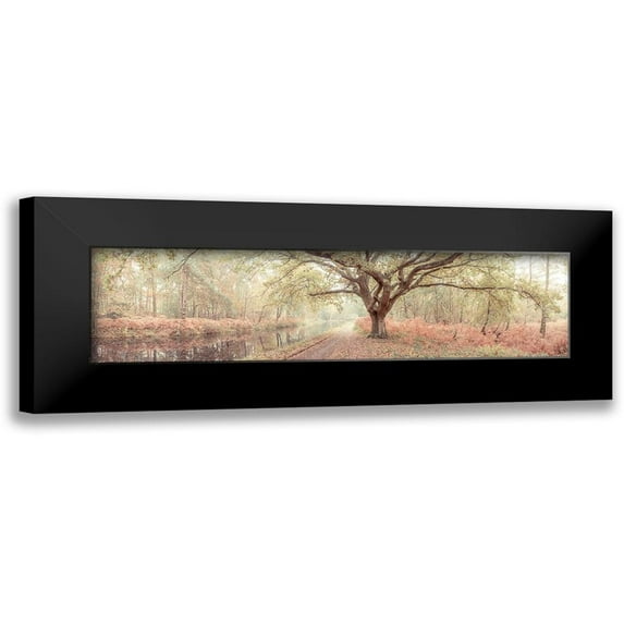Frank, Assaf 14x7 Black Modern Framed Museum Art Print Titled - Canal through forest