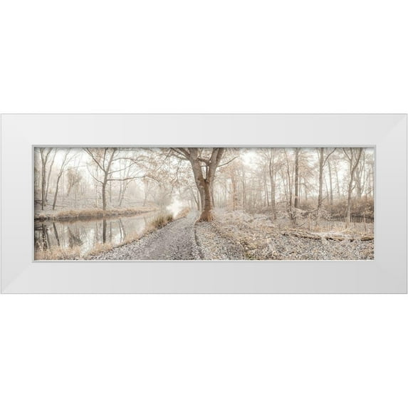 Frank, Assaf 14x7 White Modern Wood Framed Museum Art Print Titled - Misty forest