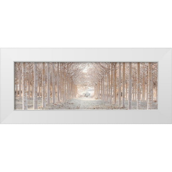 Frank, Assaf 14x7 White Modern Wood Framed Museum Art Print Titled - Winter forest