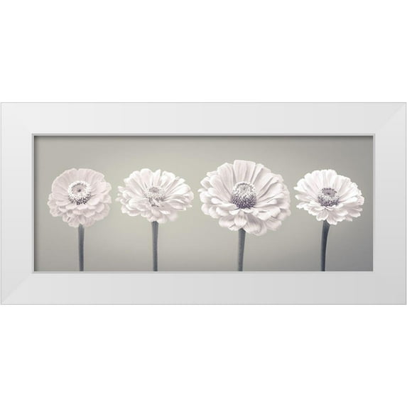 Frank, Assaf 14x8 White Modern Wood Framed Museum Art Print Titled - Four Zinnia flowers in a row