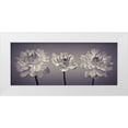 thumbnail image 1 of Frank, Assaf 14x8 White Modern Wood Framed Museum Art Print Titled - Three Dahlia flowers, 1 of 4