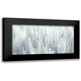 thumbnail image 1 of Frank, Assaf 14x9 Black Modern Framed Museum Art Print Titled - Japanese Silver Grass, 1 of 5