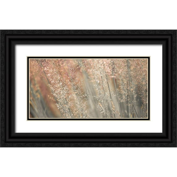 Frank, Assaf 14x9 Black Ornate Wood Framed with Double Matting Museum Art Print Titled - Fountain grass