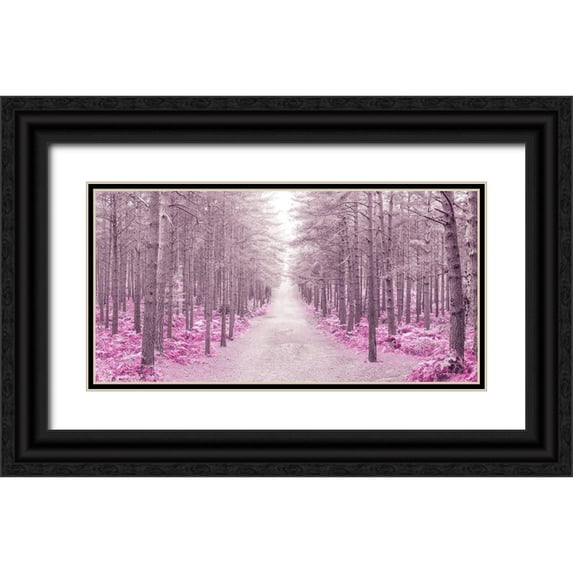Frank, Assaf 14x9 Black Ornate Wood Framed with Double Matting Museum Art Print Titled - Pathway through Autumn forest, FTBR 1844