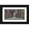 thumbnail image 1 of Frank, Assaf 14x9 Black Ornate Wood Framed with Double Matting Museum Art Print Titled - Pathway through Central park, New York, 1 of 4