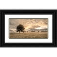 thumbnail image 1 of Frank, Assaf 14x9 Black Ornate Wood Framed with Double Matting Museum Art Print Titled - Tree in a filed at sunrise, 1 of 4