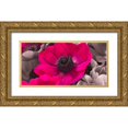thumbnail image 1 of Frank, Assaf 14x9 Gold Ornate Wood Framed with Double Matting Museum Art Print Titled - AF20111223 Anemone 008C15-2 Raspberry, 1 of 4