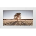 thumbnail image 1 of Frank, Assaf 14x9 White Modern Wood Framed Museum Art Print Titled - Sun shining through a tree, 1 of 4