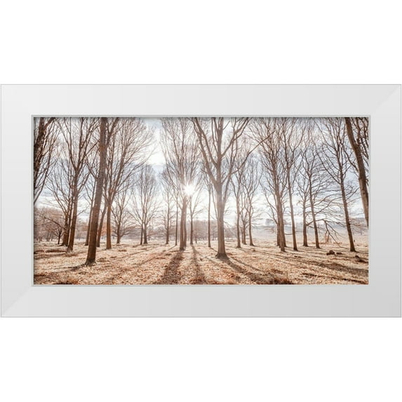 Frank, Assaf 14x9 White Modern Wood Framed Museum Art Print Titled - Sun shining through trees