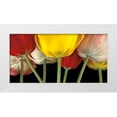 thumbnail image 1 of Frank, Assaf 14x9 White Modern Wood Framed Museum Art Print Titled - Sunshine Tulips, 1 of 4