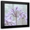 thumbnail image 1 of Frank, Assaf 15x15 Black Modern Framed Museum Art Print Titled - African Lilies, 1 of 5