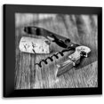 thumbnail image 1 of Frank, Assaf 15x15 Black Modern Framed Museum Art Print Titled - Corks III, 1 of 5
